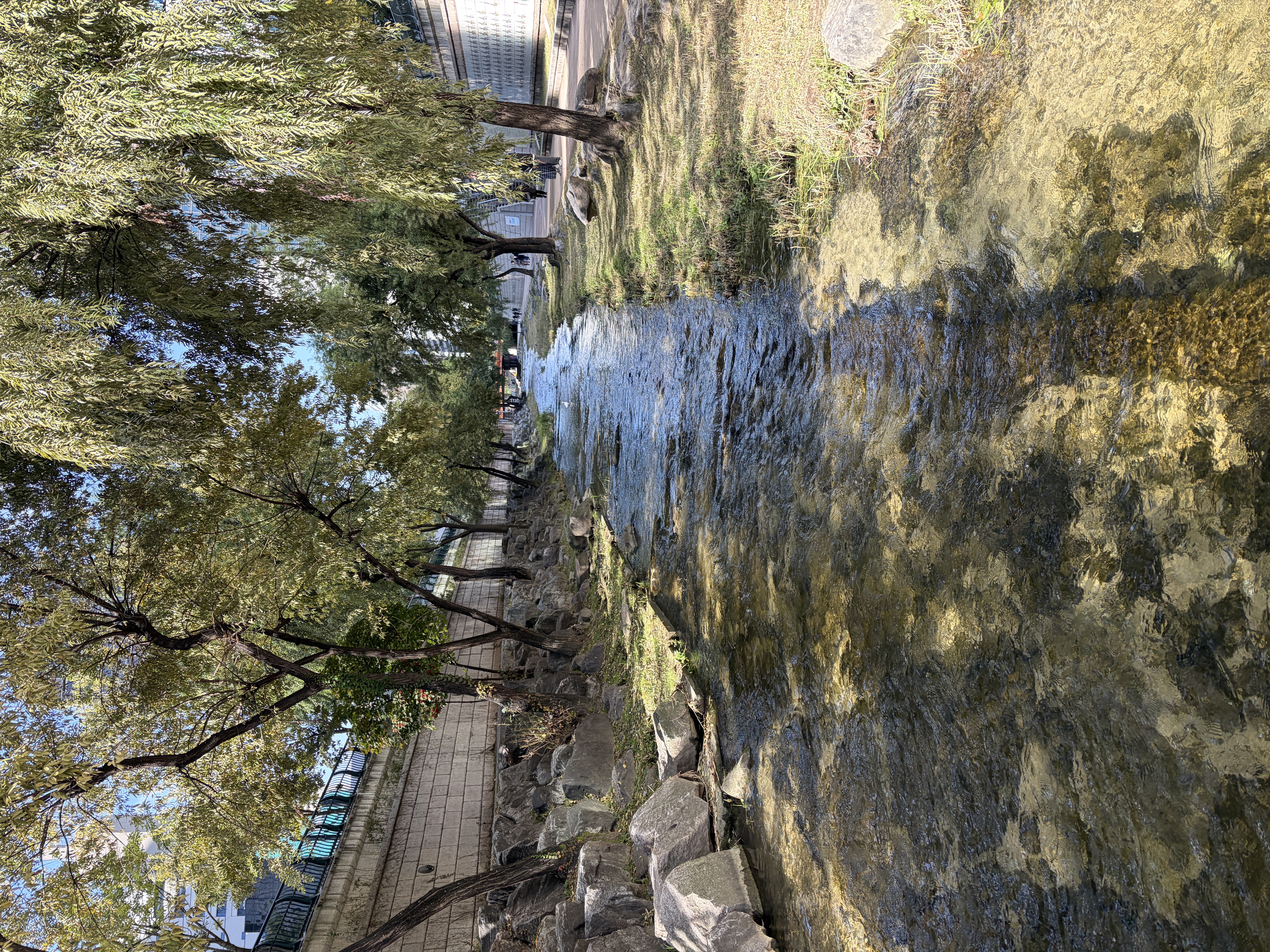 Cheonggyecheon Stream